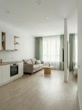 Студия Санкт-Петербург ул. Шкапина, 15 (27.7 м)