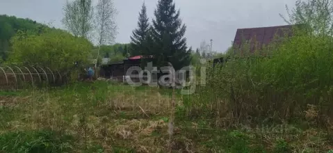 Участок в Новосибирская область, Новосибирский район, Барышевский ...