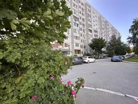 2-к кв. Самарская область, Тольятти Автозаводское ш., 39 (54.0 м)