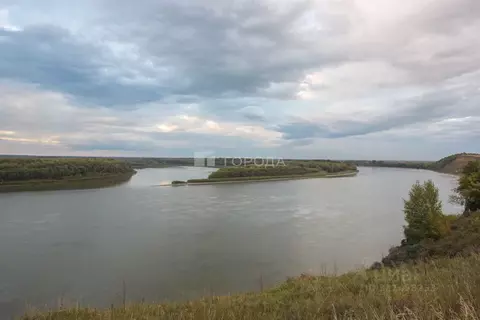 Участок в Алтайский край, Барнаул городской округ, Поселок Казенная ...