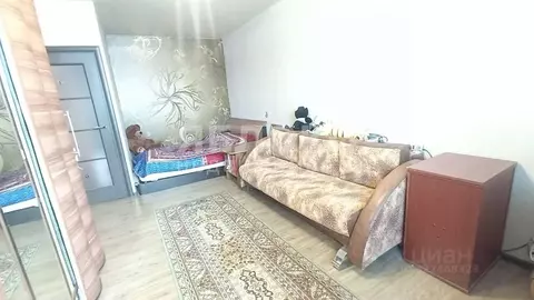 1-к кв. Пермский край, Березники Набережная ул., 19 (34.9 м)