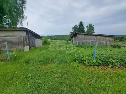 Участок в Вологодская область, Шекснинский муниципальный округ, ...