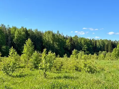 Участок в Кировская область, Кирово-Чепецкий район, Кстининское с/пос, ...