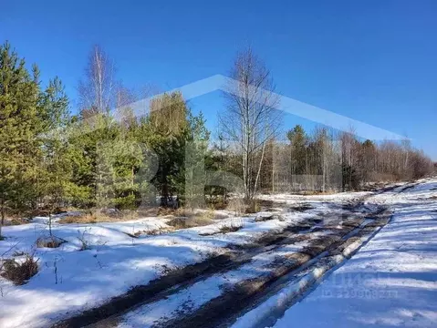 Участок в Воронежская область, Рамонский район, Новоживотинновское ...