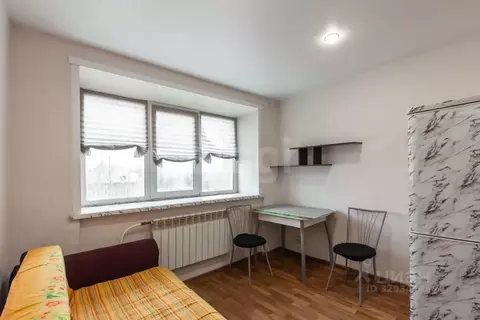 Студия Алтайский край, Барнаул Микронная ул., 137 (17.6 м)
