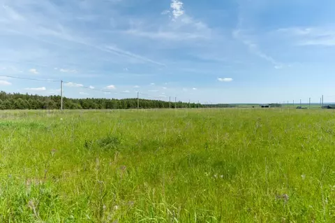 Участок в Татарстан, Высокогорский район, Усадское с/пос, д. Чубарово ...