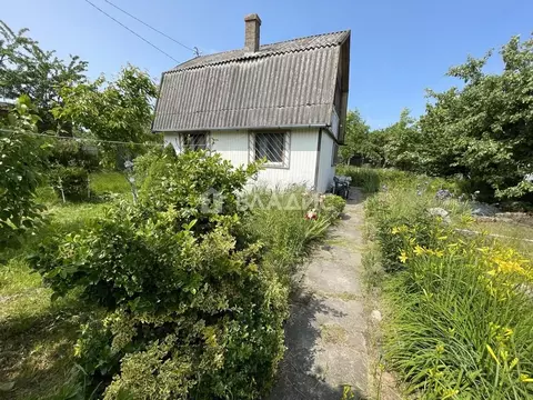 Дом в Калининградская область, Светлогорск Радуга СНТ, 6-я линия, 20 ...