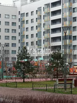 Квартира-студия: Санкт-Петербург, Среднерогатская улица, 13к1 (25.2 м)