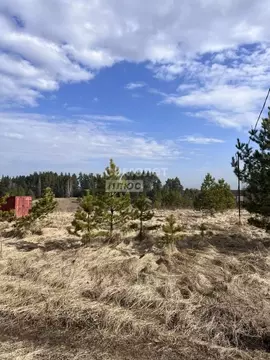 Участок в Липецкая область, Задонский муниципальный округ, с. Казино  ...