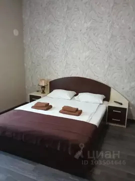 1-к кв. Псковская область, Псков ул. Ижорского Батальона, 57А (30.0 м)