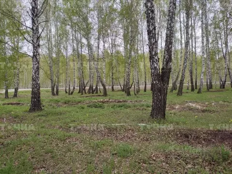 Участок в Челябинская область, Чебаркульский муниципальный округ, с. ...