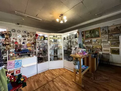 Торговая площадь в Ярославская область, Борисоглебский рп ул. ...