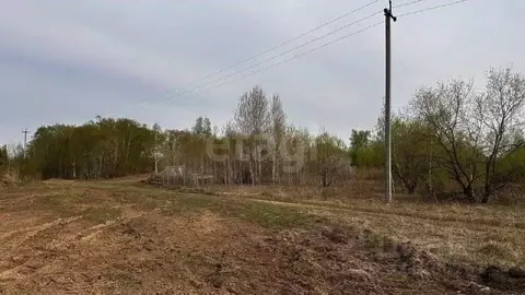 Участок в Амурская область, Благовещенский район, с. Игнатьево  (30.0 ...