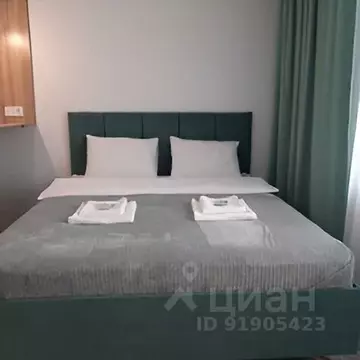 1-к кв. Алтайский край, Новоалтайск Строительная ул., 4 (30.0 м)