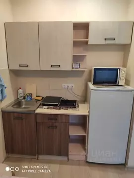 Студия Новосибирская область, Новосибирск ул. Виктора Уса, 11 (19.5 м)