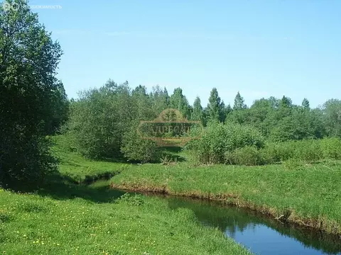 Участок в Лисинское сельское поселение, деревня Ёглино, Большая улица ...