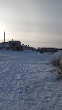 Участок в Алтайский край, Крутихинский район, с. Прыганка  (50.0 сот.)