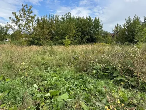 Участок в Московская область, Ногинск Богородский городской округ, ул. ...