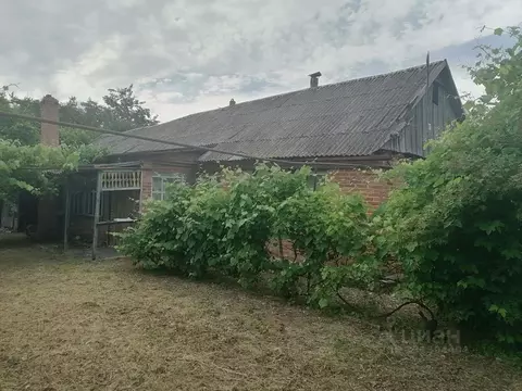 Участок в Краснодарский край, Абинск Коллективная ул. (9.8 сот.)