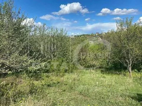 Участок в Воронежская область, Рамонский район, Новоживотинновское ...