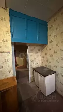 1-к кв. Ярославская область, Ярославль пос. Великий, 5 (43.6 м)