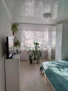 1-к кв. Калининградская область, Светлый Коммунистическая ул., 5 (35.5 ...