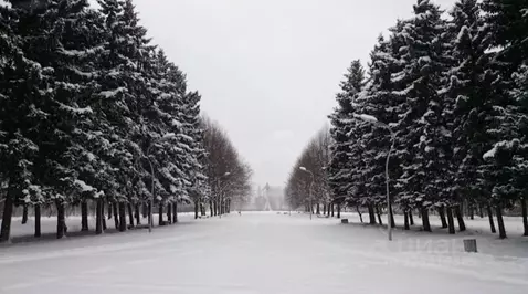 3-к кв. Санкт-Петербург Бассейная ул., 11 (58.0 м)