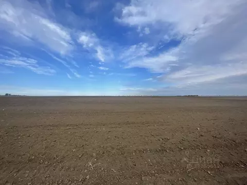 Участок в Крым, Сакский район, Штормовское с/пос, с. Приветное  (6.0 ...