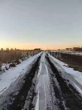 Участок в Новосибирская область, Новосибирский район, Морской ...
