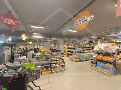 Помещение свободного назначения в Омская область, Омск пос. Амурский, ...