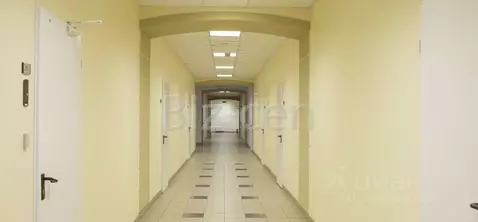 Офис в Санкт-Петербург ул. Чапаева, 5 (366 м)