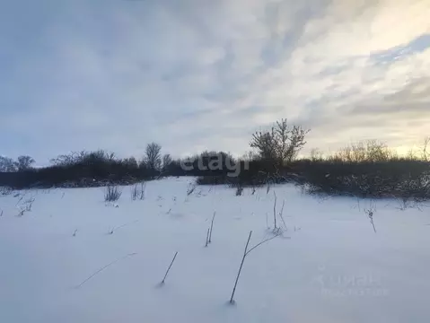 Участок в Воронежская область, Новоусманский район, Орловское с/пос, ...