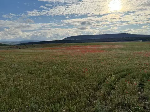 Участок в Севастополь Балаклавский р-н, Терновский муниципальный ...
