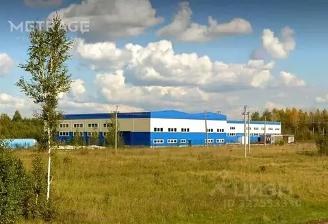 Склад в Новосибирская область, Новосибирский район, Толмачевский ...