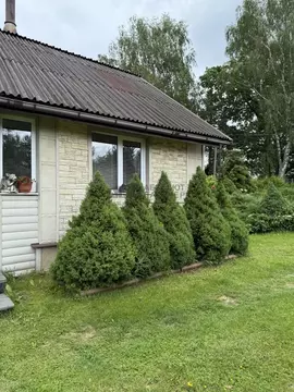 Дом в Новгородская область, Новгородский район, Борковское с/пос, д. ...