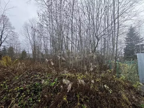 Участок в Ленинградская область, Волховский район, Кисельнинское ...