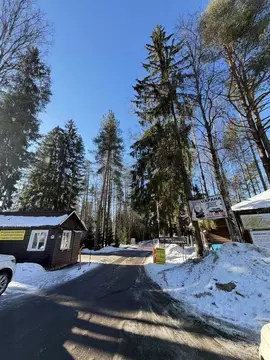 Участок в Ленинградская область, Сертолово Всеволожский район, Медное ...