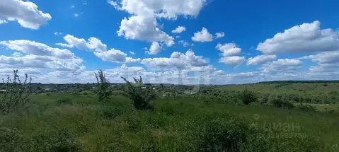 Участок в Воронежская область, Рамонский район, с. Русская Гвоздевка ...