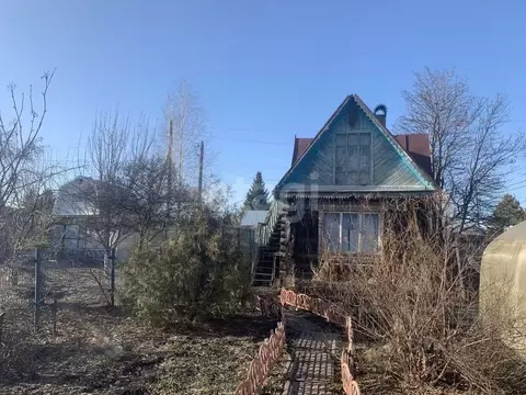 Дом в Тюменская область, Тюмень Салют СНТ, ул. Цветочная (36 м)