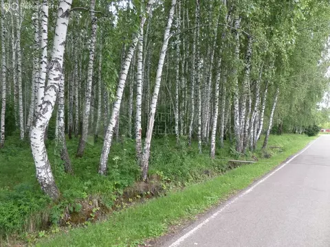 Дом в Тюмень, Калининская улица (363.1 м)