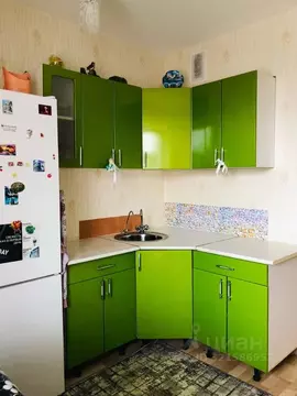 Студия Челябинская область, Сосновский муниципальный округ, Поселок ...