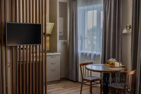 Студия Псковская область, Псков Московская ул., 1 (30.0 м)