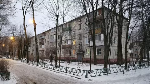 1-к кв. Московская область, Пушкино Мамонтовка мкр, ул. Мира, 1 (33.0 ...