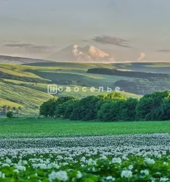 Участок в Ставропольский край, Предгорный муниципальный округ, пос. ...