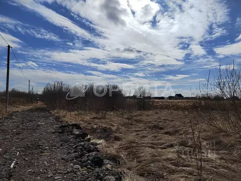 Участок в Тюменская область, Тюмень Садовое товарищество Липовый ...