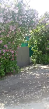 Дом в Саратовская область, Вольск Ульяновская ул., 16 (75 м)