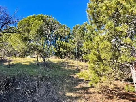 Участок в Крым, Алупка ш. Севастопольское, 54 (9.0 сот.)