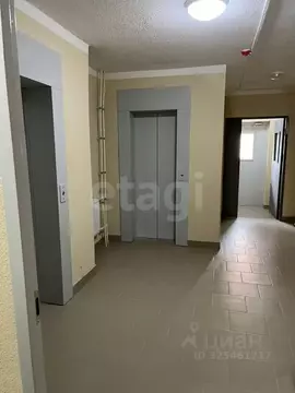 1-к кв. Санкт-Петербург пос. Шушары, Московское ш., 262к1 (35.6 м)