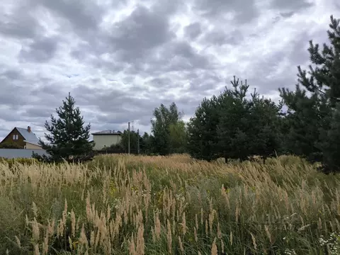 Участок в Московская область, Раменский муниципальный округ, с. ...