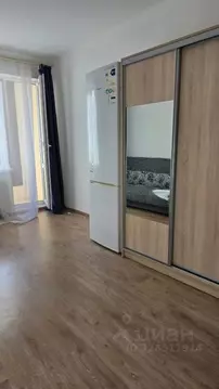 Студия Санкт-Петербург просп. Ветеранов, 169к2 (24.0 м)